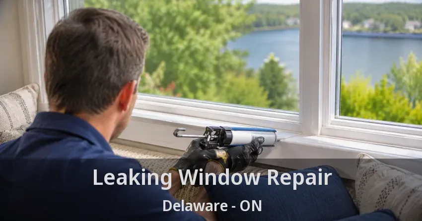 Leaking Window Repair Delaware - ON